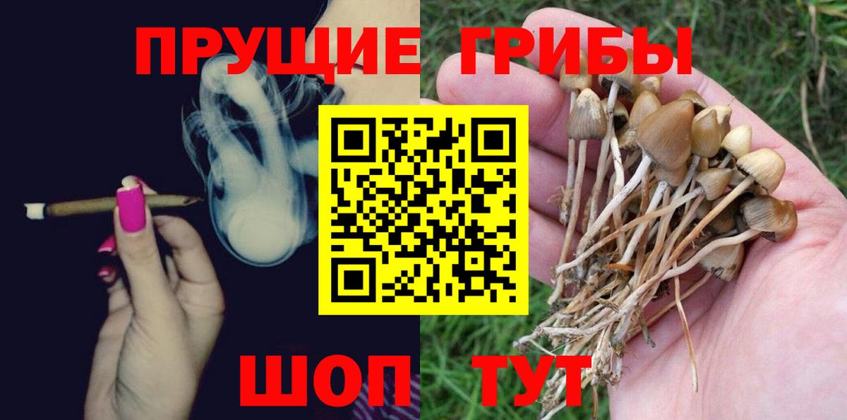 Галлюциногенные грибы GOLDEN TEACHER  Псилоцибиновые грибы Psilocybe  Вход с VPN  Десногорск 